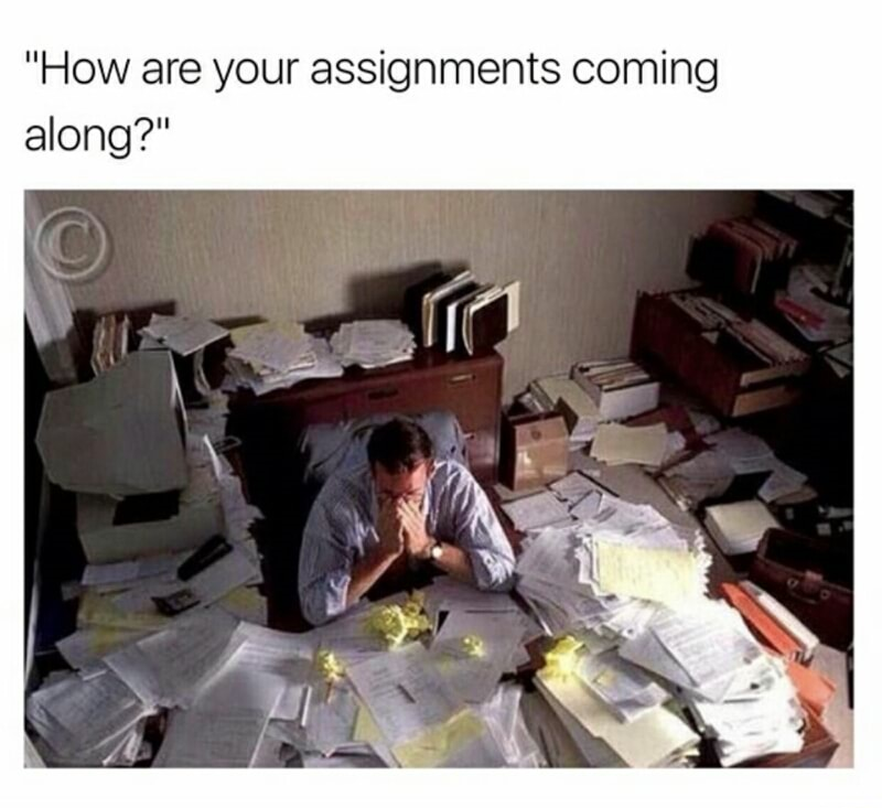 memes - offices filled with files - "How are your assignments coming along?"