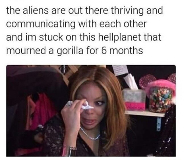 memes - dead inside meme reaction - the aliens are out there thriving and communicating with each other and im stuck on this hellplanet that mourned a gorilla for 6 months