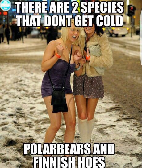 Meme making fun of the fact that Finnish girls are good at withstanding the cold.