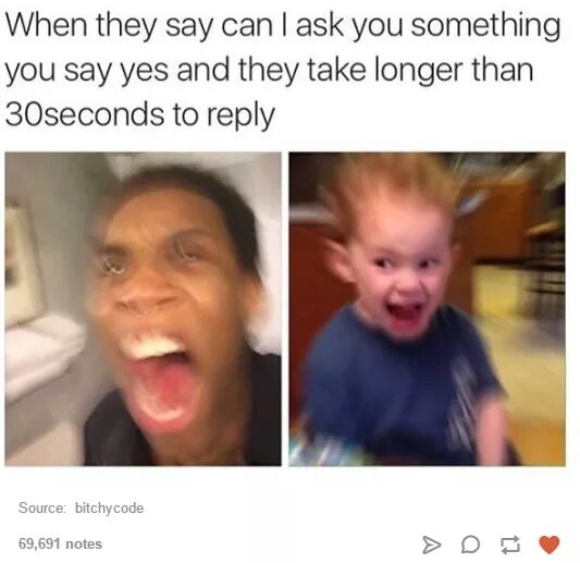 Funny meme about when someone doesn't respond right away to 'can i ask you something'