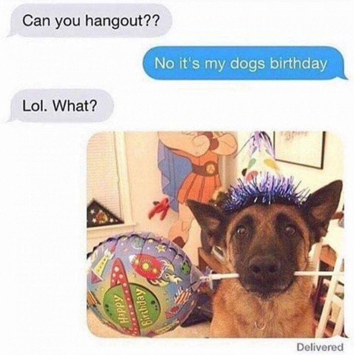Funny message exchange of someone that is throwing a birthday party for their dog.