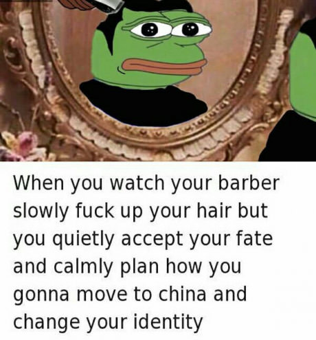Pepe the frog meme about getting a bad haircut and moving to China.