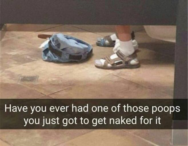 Meme and funny picture about having to take your pants off to poop.