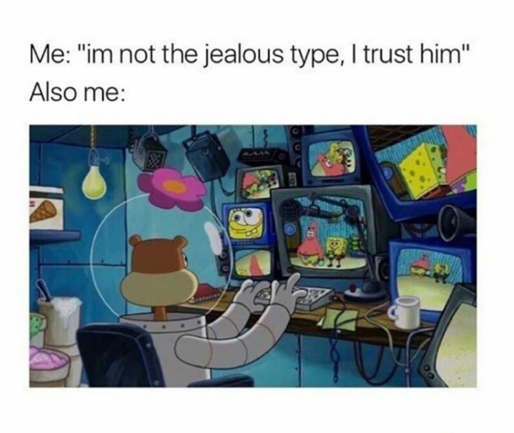 trust him meme - Me "im not the jealous type, I trust him" Also me