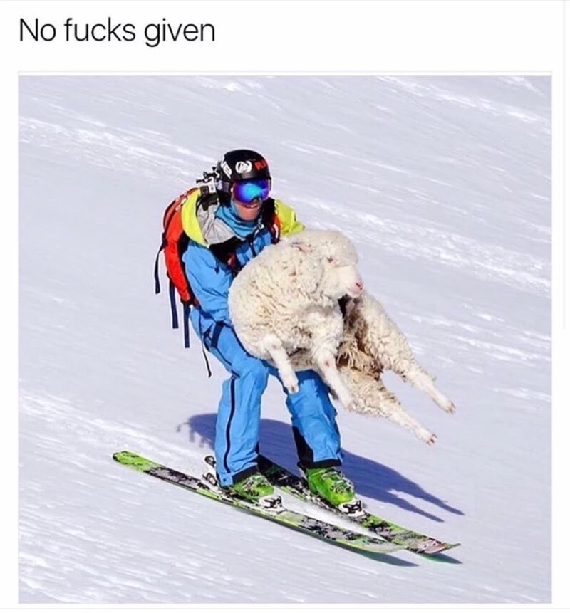 funny kids skiing - No fucks given