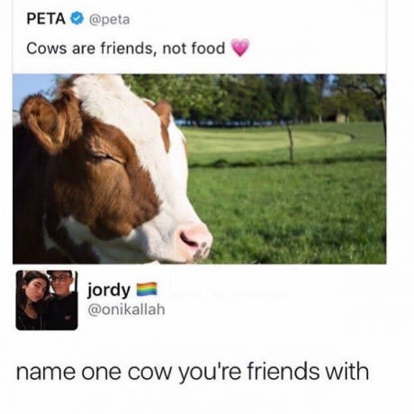 name one cow your friends - Peta Cows are friends, not food jordy name one cow you're friends with