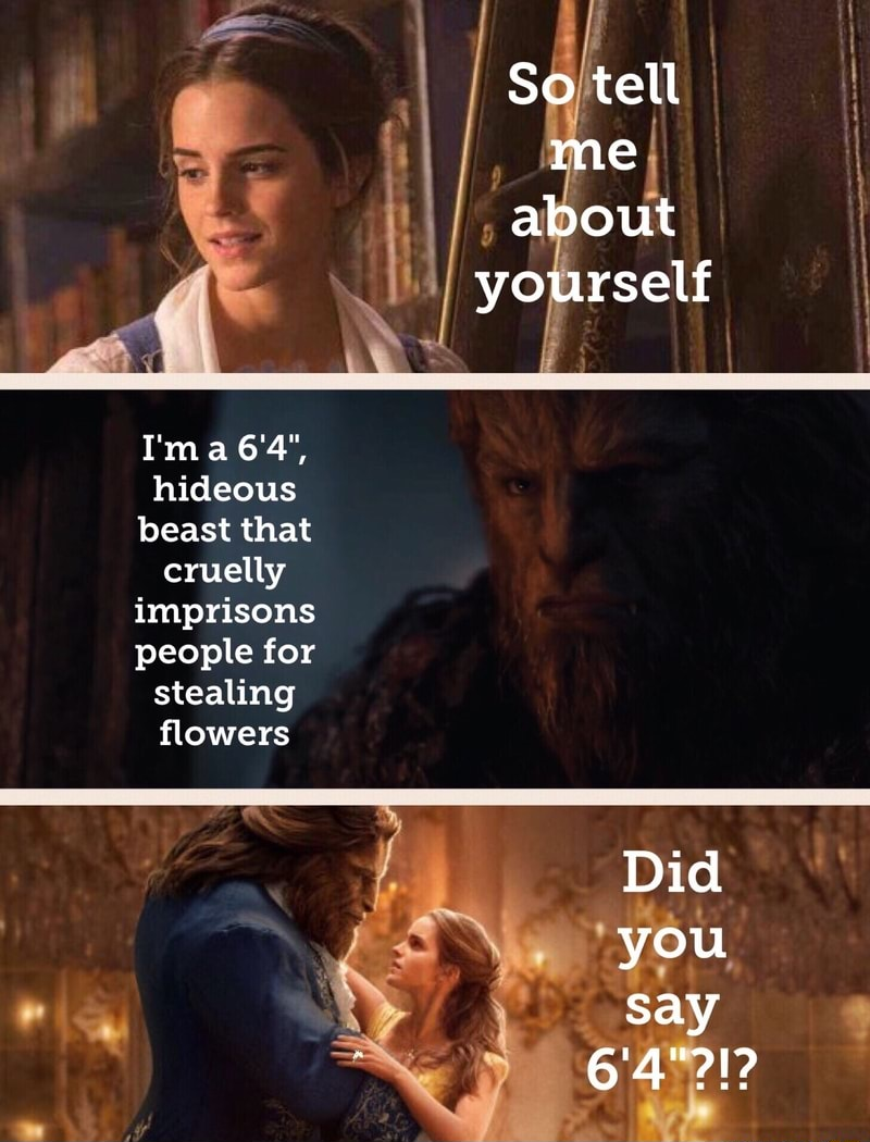 beauty and beast meme - So tell me about yourself I'm a 6'4", hideous beast that cruelly imprisons people for stealing flowers Did you say 6'4"?!?