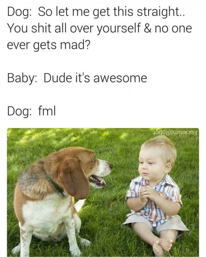 dog and baby - Dog So let me get this straight.. You shit all over yourself & no one ever gets mad? Baby Dude it's awesome Dog fml jogoyeunion