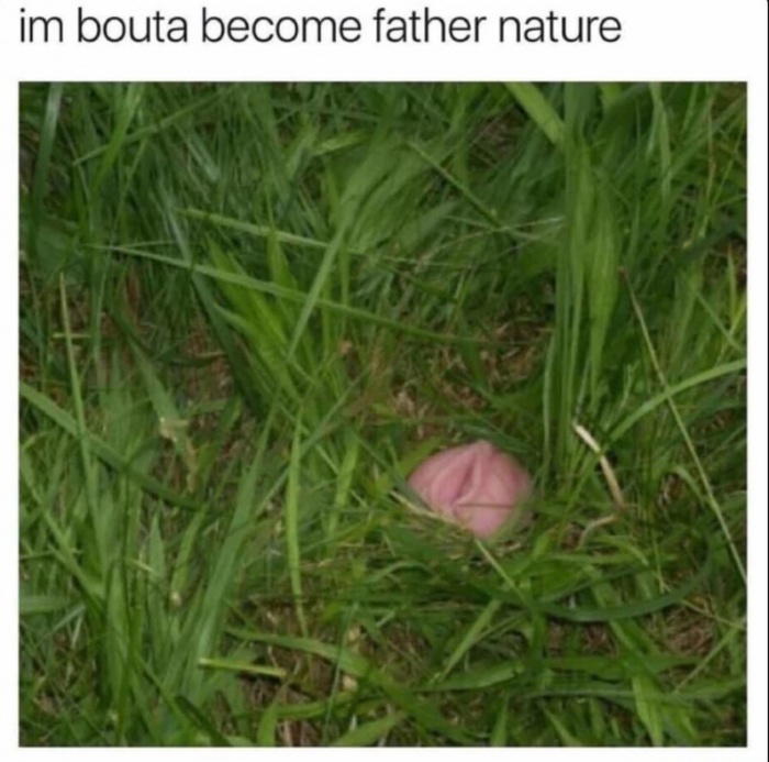 father nature meme - im bouta become father nature