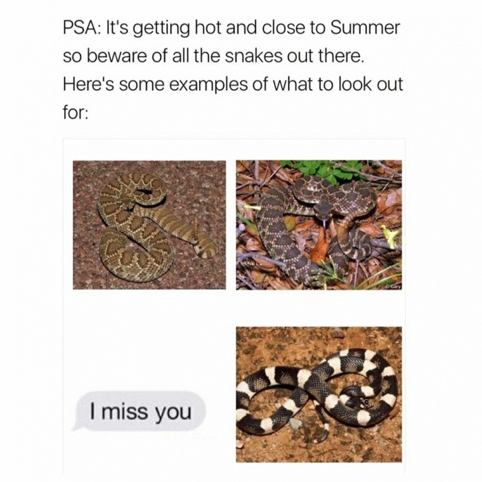 memes  - watch out for snakes meme - Psa It's getting hot and close to Summer so beware of all the snakes out there. Here's some examples of what to look out for I miss you