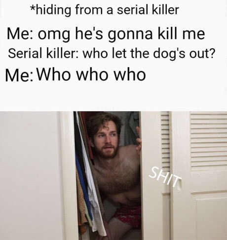 memes  - hiding from a serial killer meme - hiding from a serial killer Me omg he's gonna kill me Serial killer who let the dog's out? Me Who who who