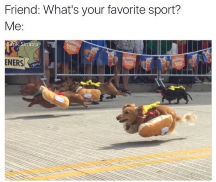 memes  - dachshund dressed as hot dog - Friend What's your favorite sport? Me Tank Sinatra Eners