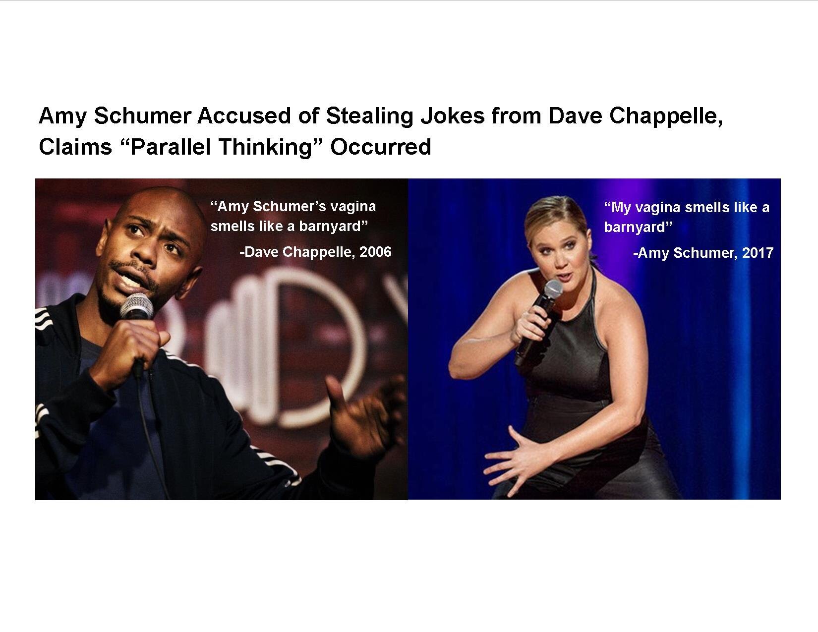 memes  - amy schumer stealing jokes meme - Amy Schumer Accused of Stealing Jokes from Dave Chappelle, Claims "Parallel Thinking" Occurred "Amy Schumer's vagina smells a barnyard" Dave Chappelle, 2006 "My vagina smells a barnyard" Amy Schumer, 2017