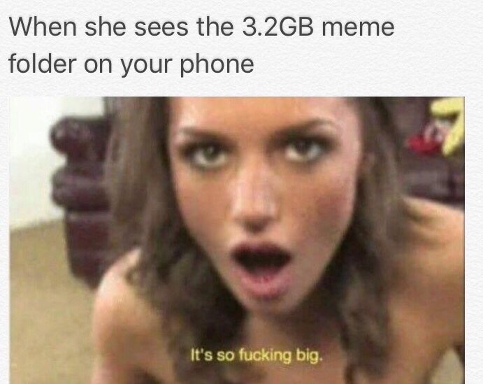 memes  - dank memes - When she sees the 3.2GB meme folder on your phone It's so fucking big.