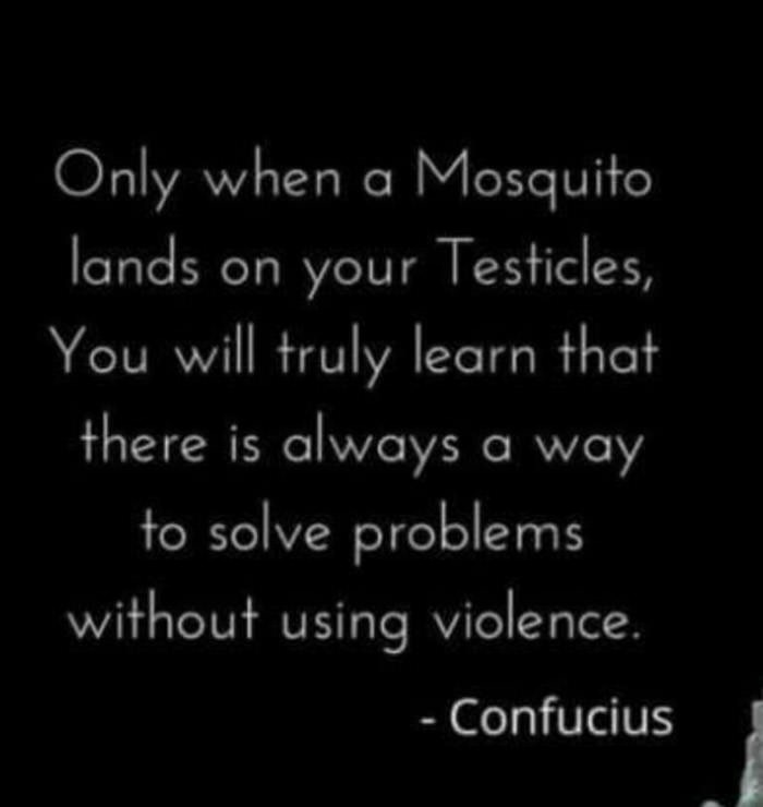 memes - atmosphere - Only when a Mosquito lands on your Testicles, You will truly learn that there is always a way to solve problems without using violence. Confucius