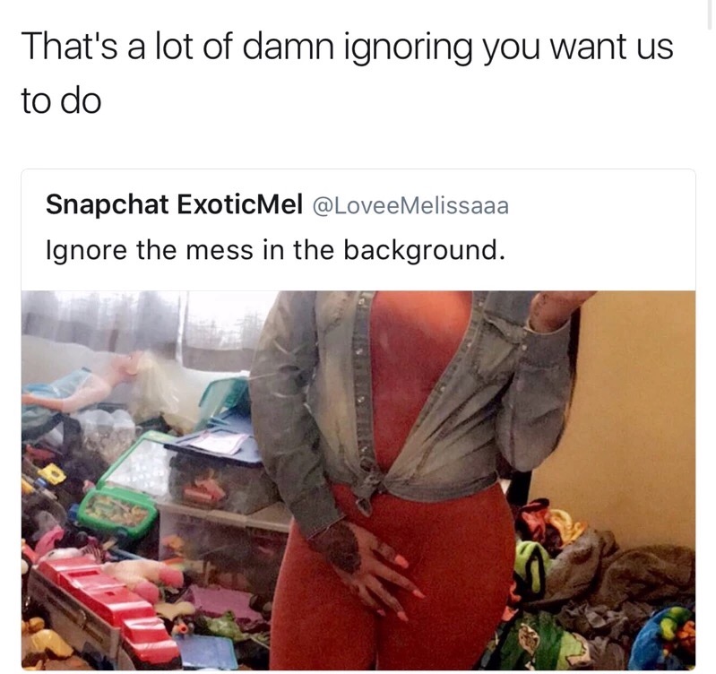 memes - ignore the background caption - That's a lot of damn ignoring you want us to do Snapchat ExoticMel Ignore the mess in the background.