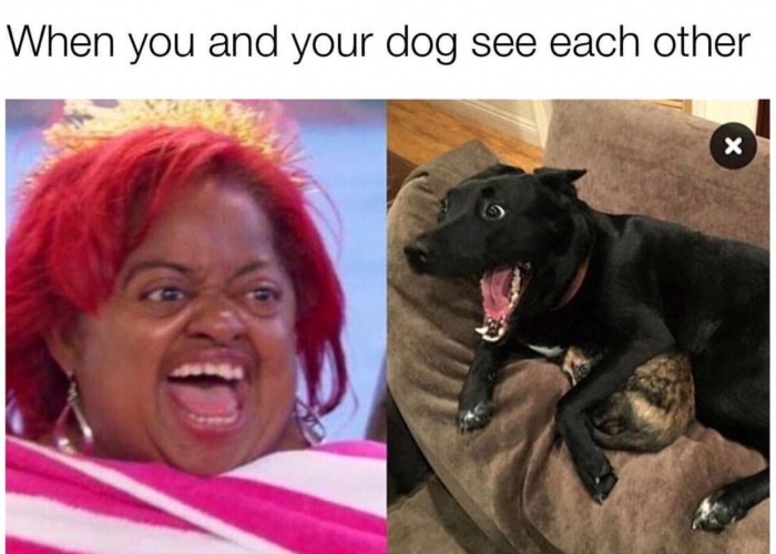 70 of the freshest memes just in time for the weekend