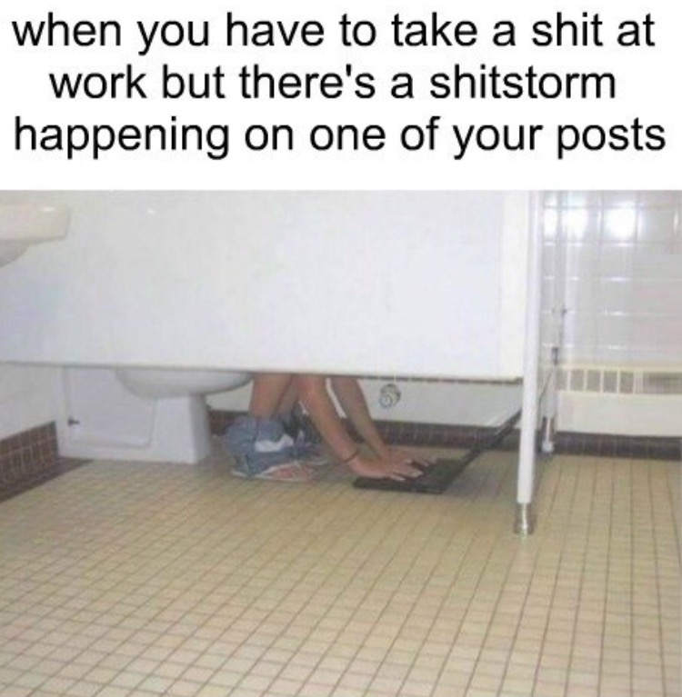 girl on the toilet with laptop - when you have to take a shit at work but there's a shitstorm happening on one of your posts