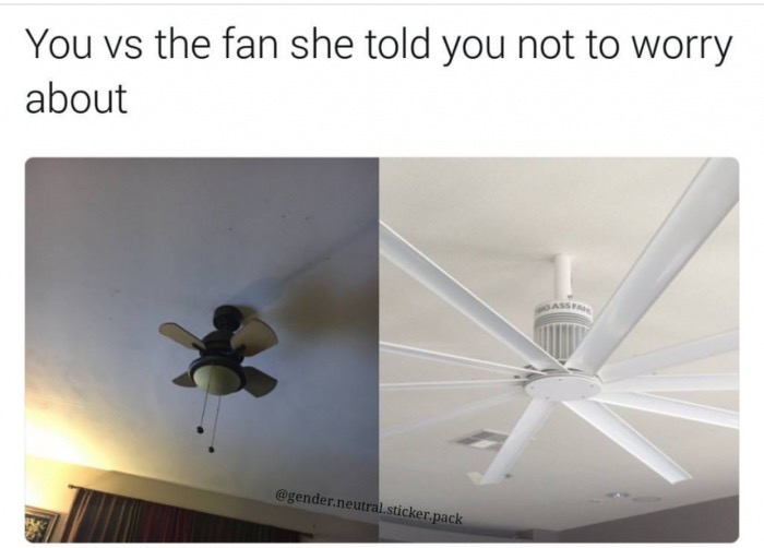 ceiling - You vs the fan she told you not to worry about .neutral.sticker.pack
