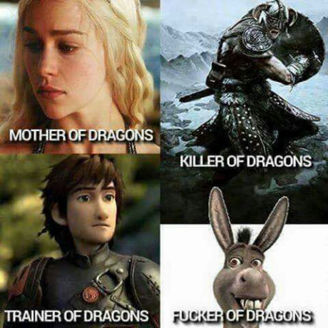 fucker of dragon - Mother Of Dragons Killer Of Dragons Trainer Of Dragons Fucker Of Dracons