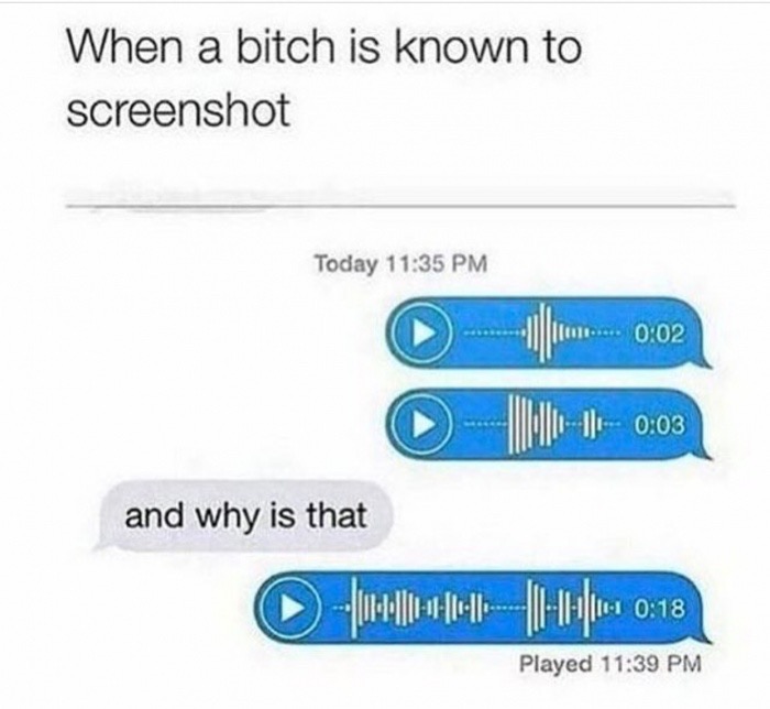 voice message screenshot meme - When a bitch is known to screenshot Today and why is that Played