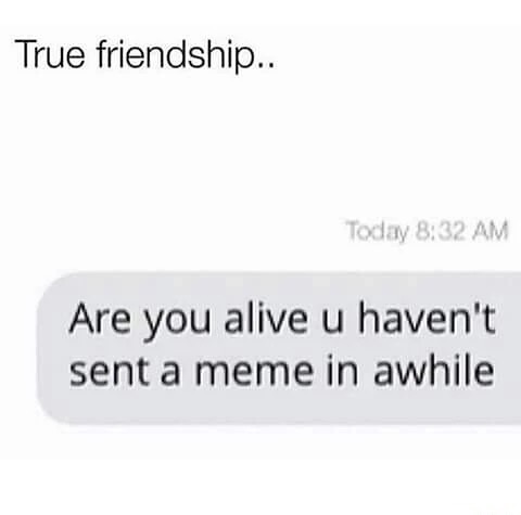 friendship goals meme - True friendship.. Today Are you alive u haven't sent a meme in awhile