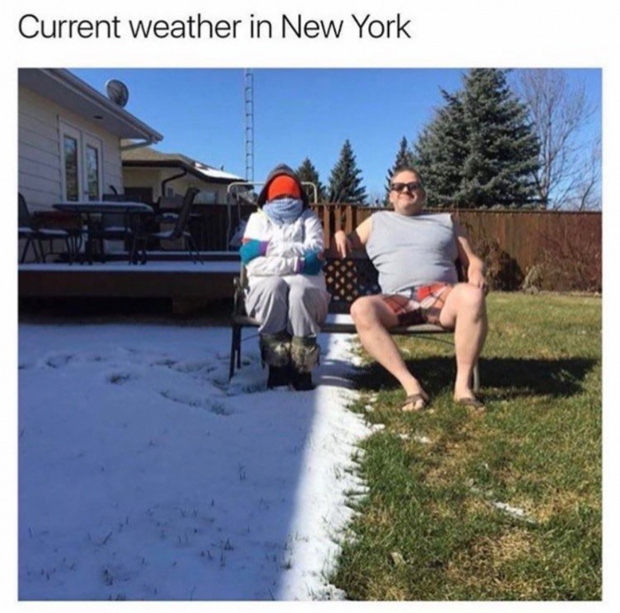 funny canada - Current weather in New York