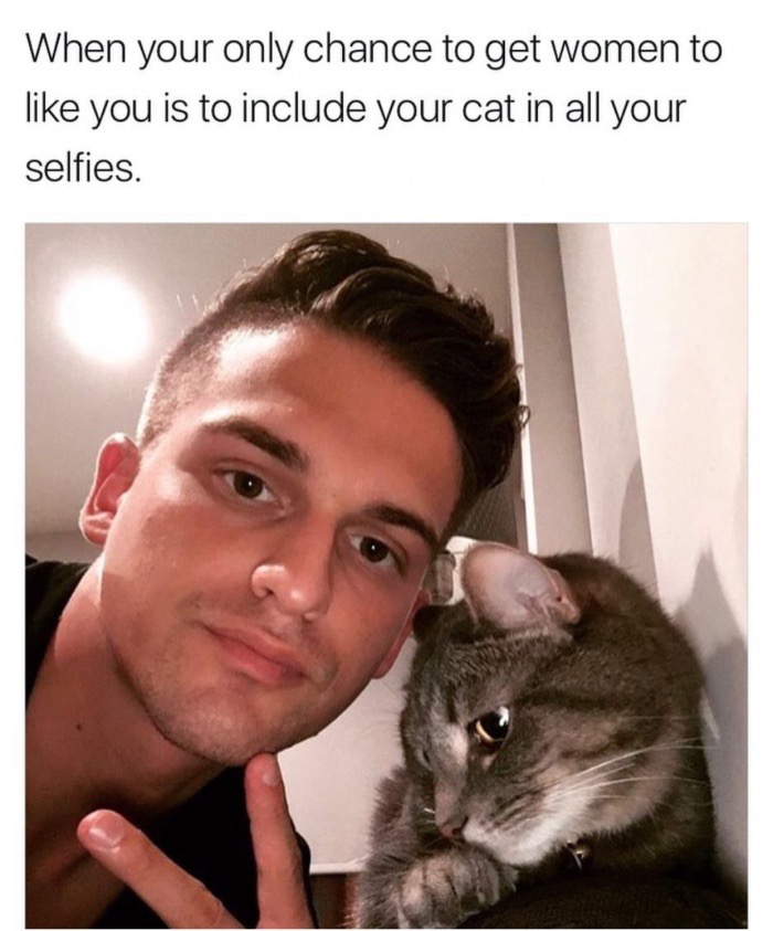 photo caption - When your only chance to get women to you is to include your cat in all your selfies.
