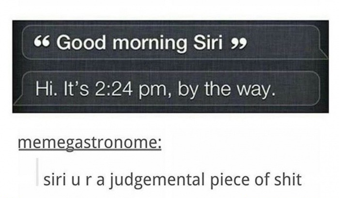 Dank meme about Siri being all judgmental and shit.