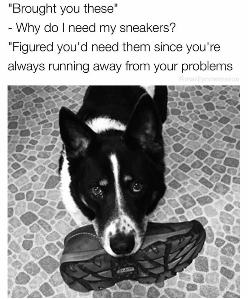 Dank meme about a dog bringing you the sneakers so you can run from your problems better.