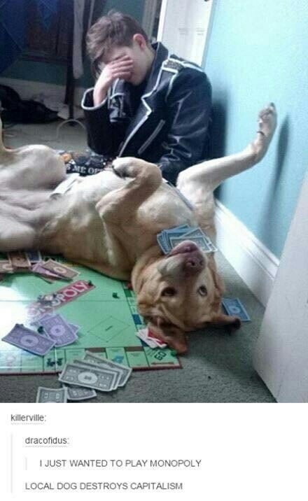 Dank meme about wanting to play Monopoly but you own a dog.