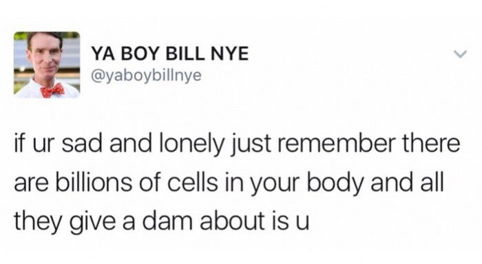 Dank meme of Bill Nye telling you that you are not alone because you have billions of cells that need you.
