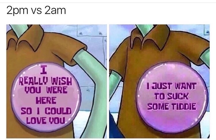 Dank meme about how guys are at 2pm vs at 2am and what they will say or want at those hours.