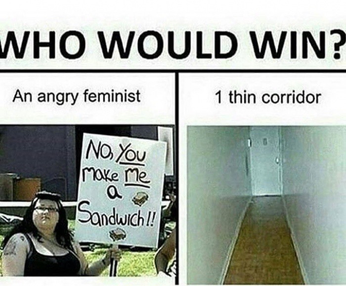 corridor meme - Who Would Win? An angry feminist 1 thin corridor Ino make me a Sandwich !!