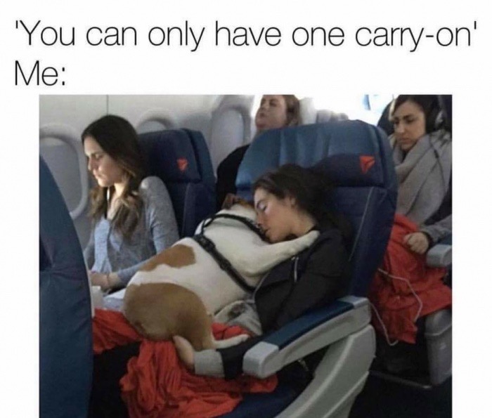 airline employee meme - 'You can only have one carryon' Me