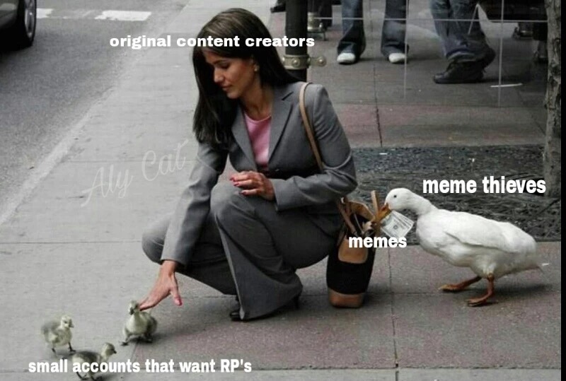 pickpocket duck - original content creators meme thieves memes small accounts that want Rp's