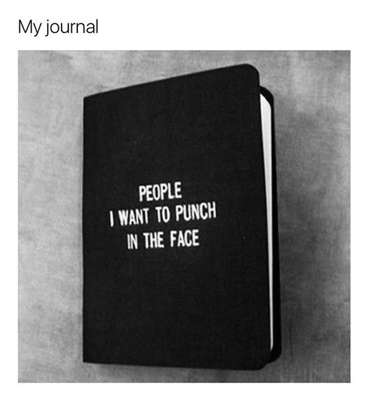 people i want to punch in the face book - My journal People I Want To Punch In The Face