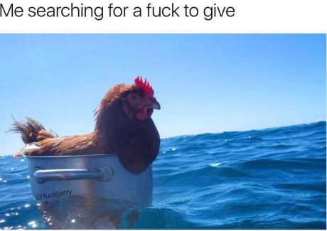 TGIF 58 Fresh AF memes to end the working week