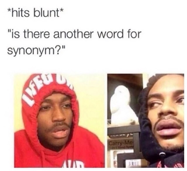 hits blunt memes - hits blunt "is there another word for synonym?" Carr