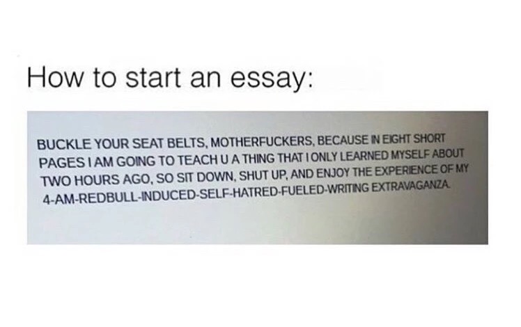start an essay meme - How to start an essay Buckle Your Seat Belts, Motherfuckers, Because In Eight Short Pages I Am Going To Teachu A Thing That I Only Learned Myself About Two Hours Ago, So Sit Down, Shut Up, And Enjoy The Experience Of My…