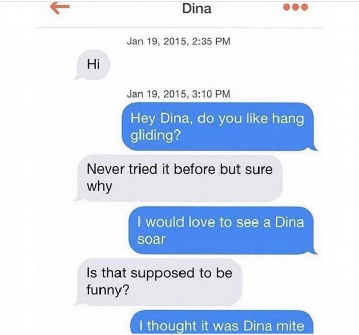 memes - multimedia - Dina , Hi , Hey Dina, do you hang gliding? Never tried it before but sure why I would love to see a Dina soar Is that supposed to be funny? I thought it was Dina mite