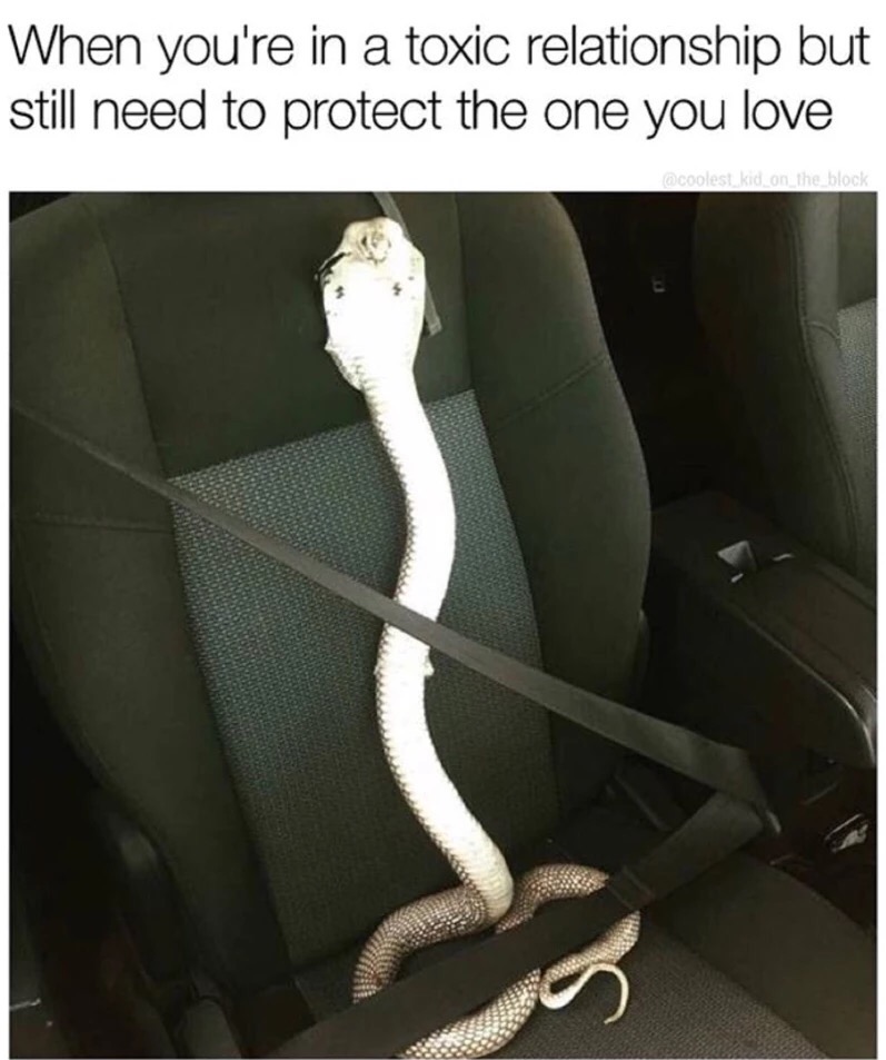 funny toxic relationship memes - When you're in a toxic relationship but still need to protect the one you love coolest kid on the block