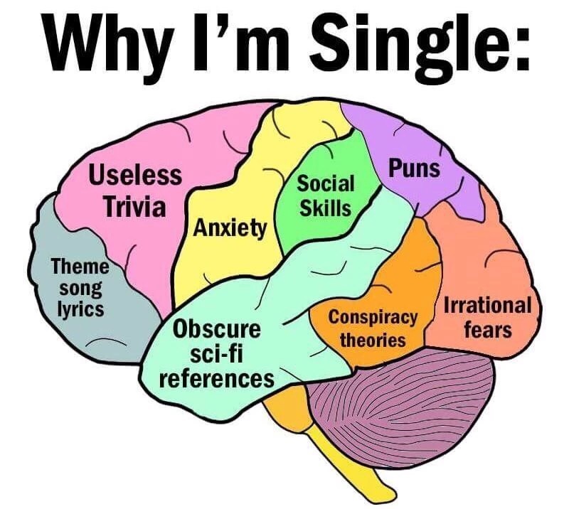 im single brain meme - Why I'm Single Puns Useless Trivia Social Skills Anxiety Theme song lyrics Conspiracy theories Irrational fears Obscure scifi references