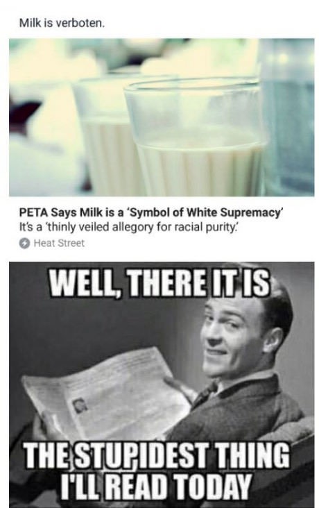 stupidest thing i ll read today meme - Milk is verboten. Peta Says Milk is a 'Symbol of White Supremacy' It's a 'thinly veiled allegory for racial purity! Heat Street Well, There It Is The Stupidest Thing I'Ll Read Today