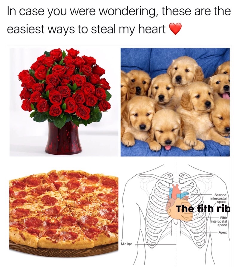 quickest way to my heart - In case you were wondering, these are the easiest ways to steal my heart Second intercostal space The fith rib Fifth intercostal space Apex Midline