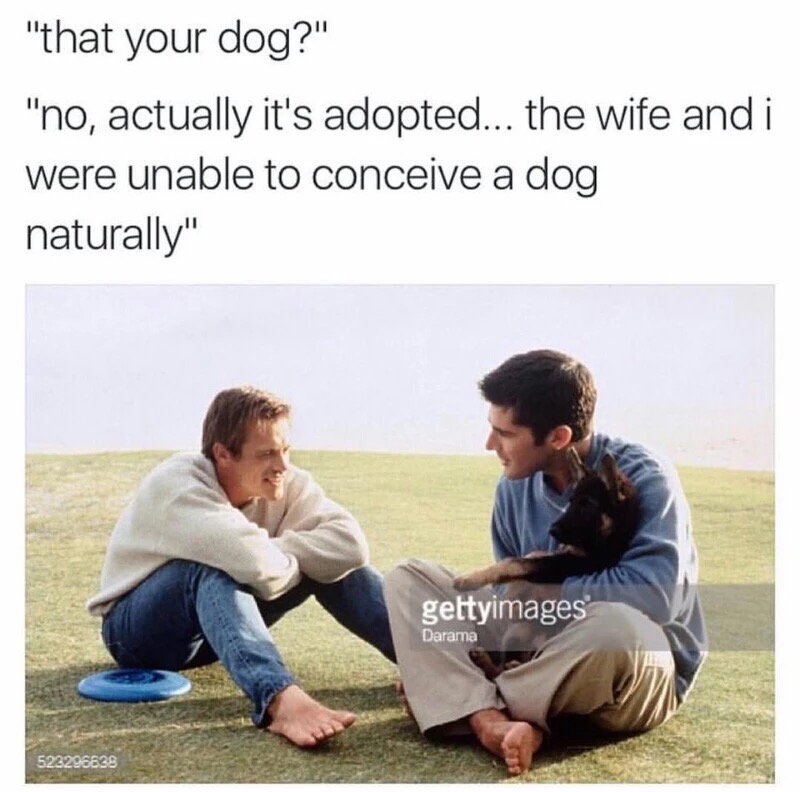 your dog no its adopted - "that your dog?" "no, actually it's adopted... the wife and i were unable to conceive a dog naturally" gettyimages Darama 522206636