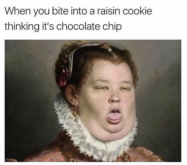 memes - funny meme - When you bite into a raisin cookie thinking it's chocolate chip