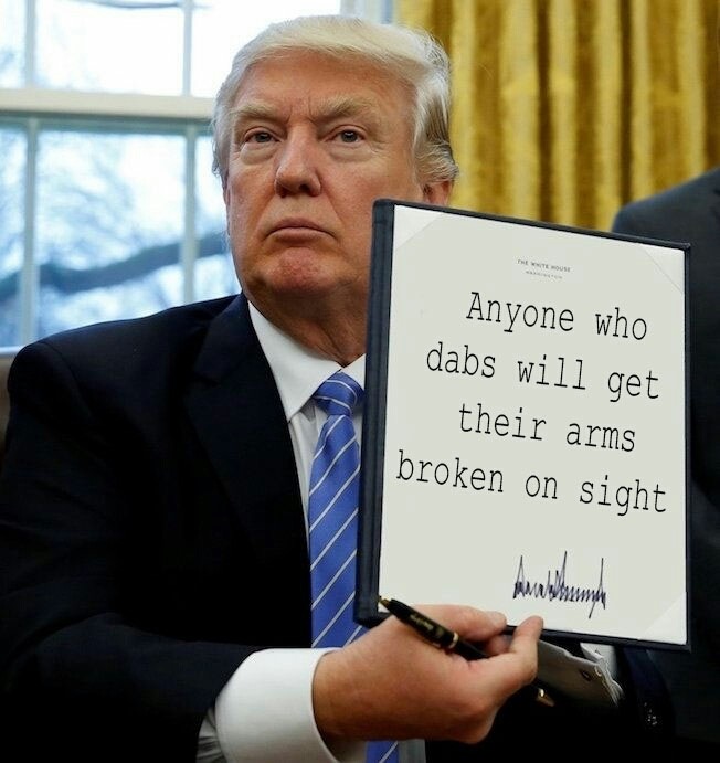 memes - donald trump law meme - Anyone who dabs will get their arms broken on sight paralihank