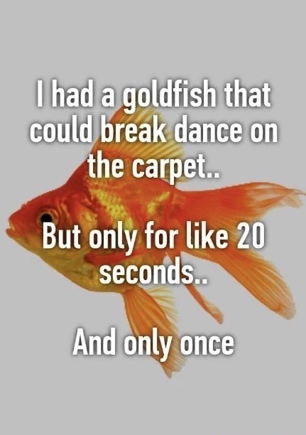 memes - orange - I had a goldfish that could break dance on the carpet.. But only for 20 seconds.. And only once