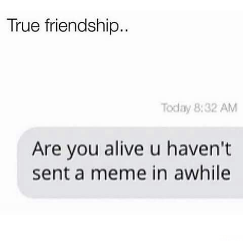 memes - friendship goals meme - True friendship.. Today Are you alive u haven't sent a meme in awhile